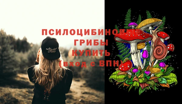 дурь Протвино