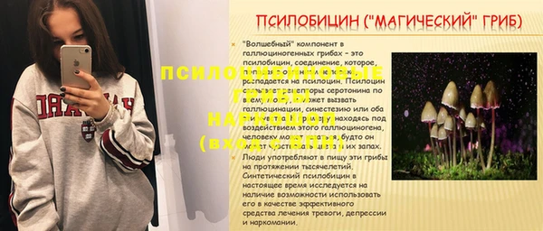 соль ск Приозерск