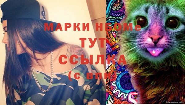 соль ск Приозерск