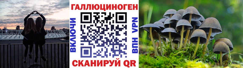 Галлюциногенные грибы Magic Shrooms  Балей 